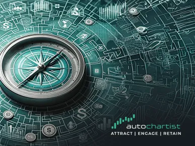 Navigating Organisational Changes in the Finance Sector